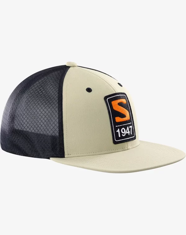 Trucker Flat כובע